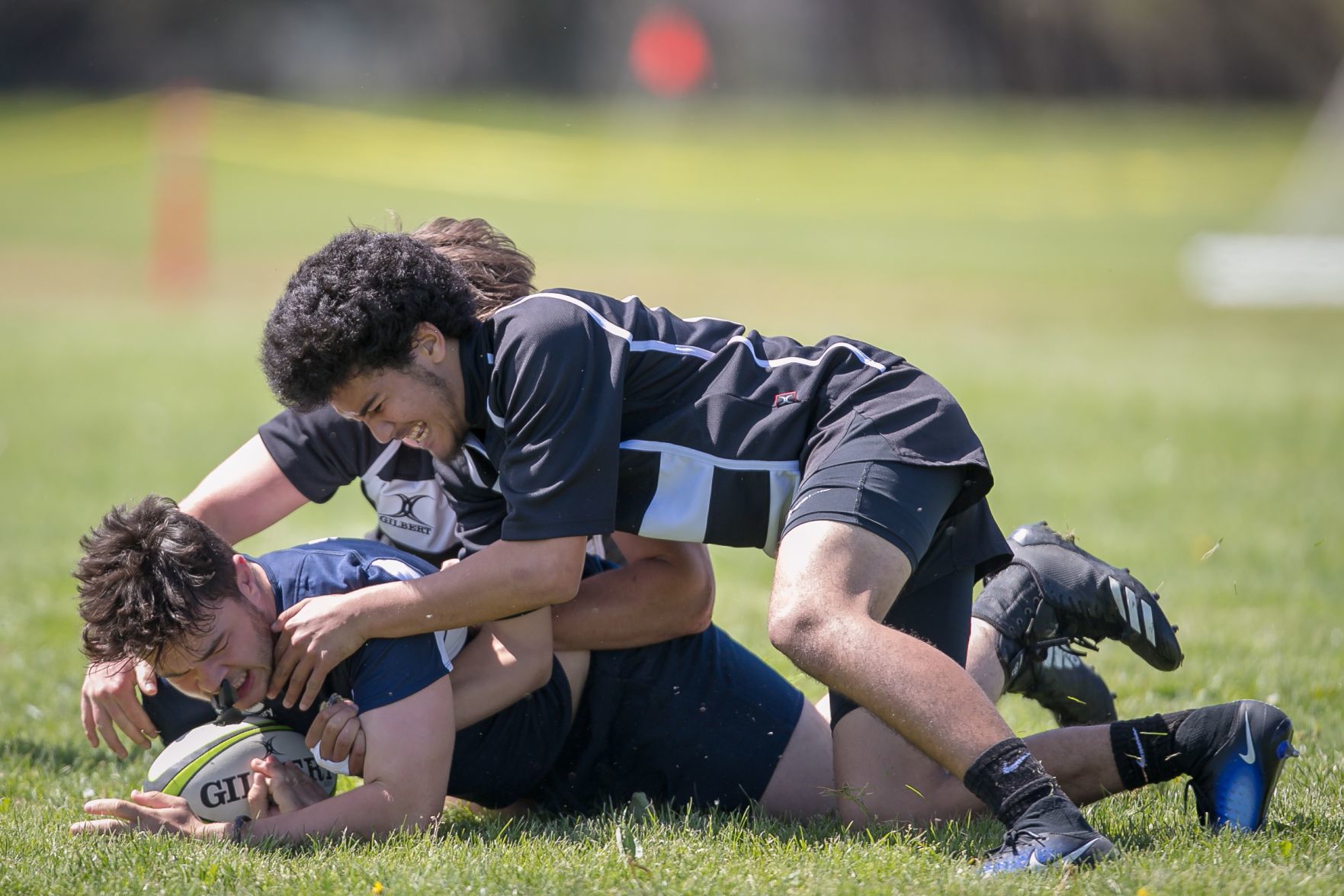 Napa Stormers rugby